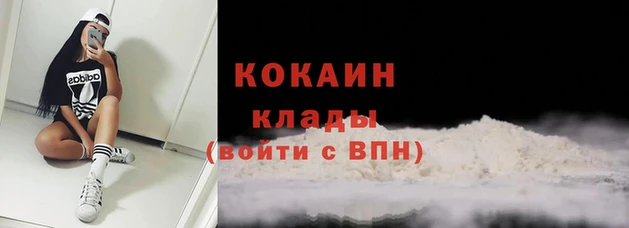 apvp Вязьма