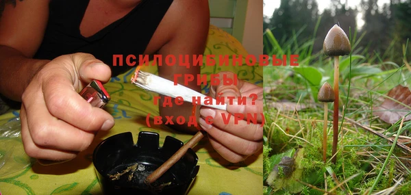 apvp Вязьма