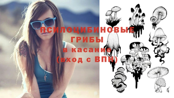 молекула духа Горно-Алтайск