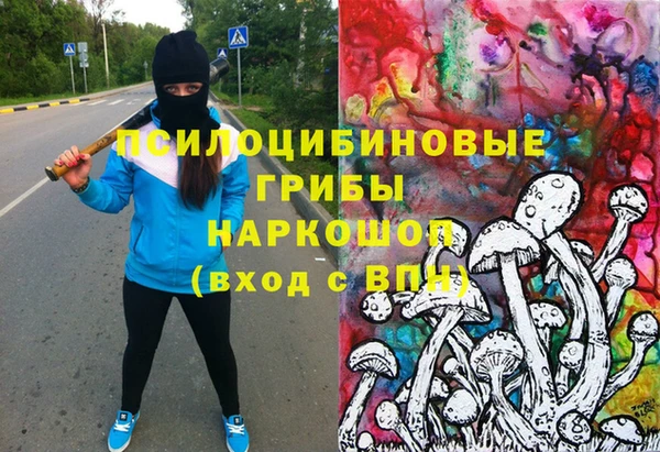 apvp Вязники