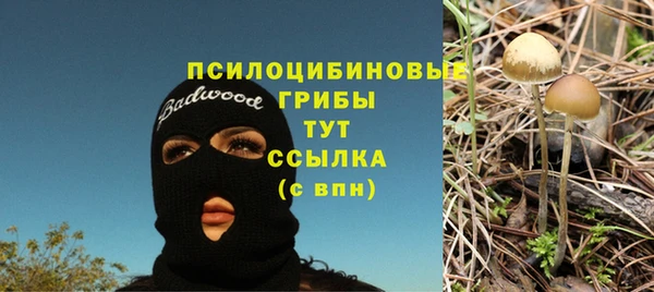 apvp Вязьма