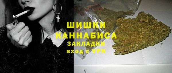 apvp Вязьма